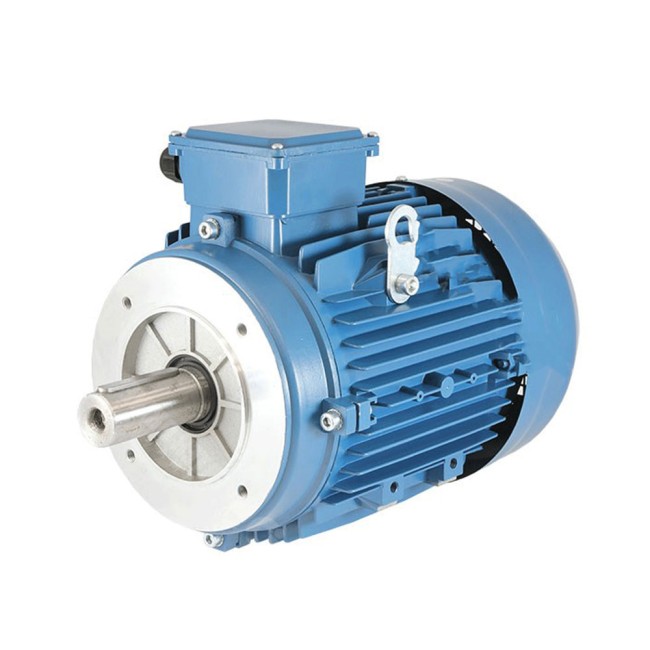 Weg  electric motor, 250 kW, 2970 RPM three-phase